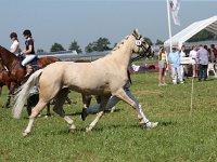 NRPS 280619-0129